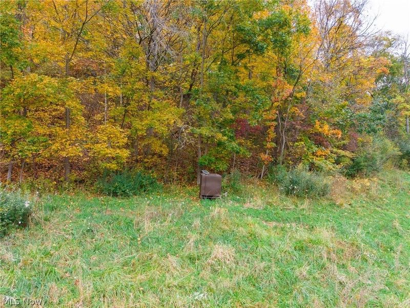 Crescent Road , Saint Clairsville, OH 43950 Photo 15