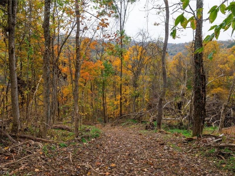Crescent Road , Saint Clairsville, OH 43950 Photo 38