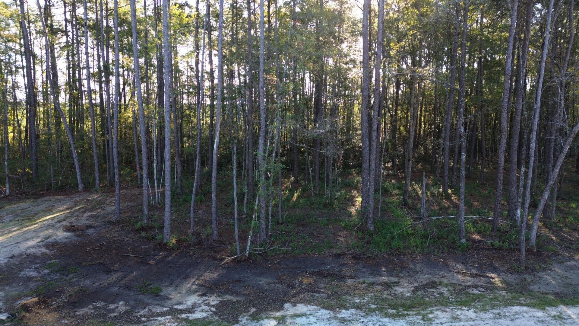 473 The Ranch Trail Photo 10