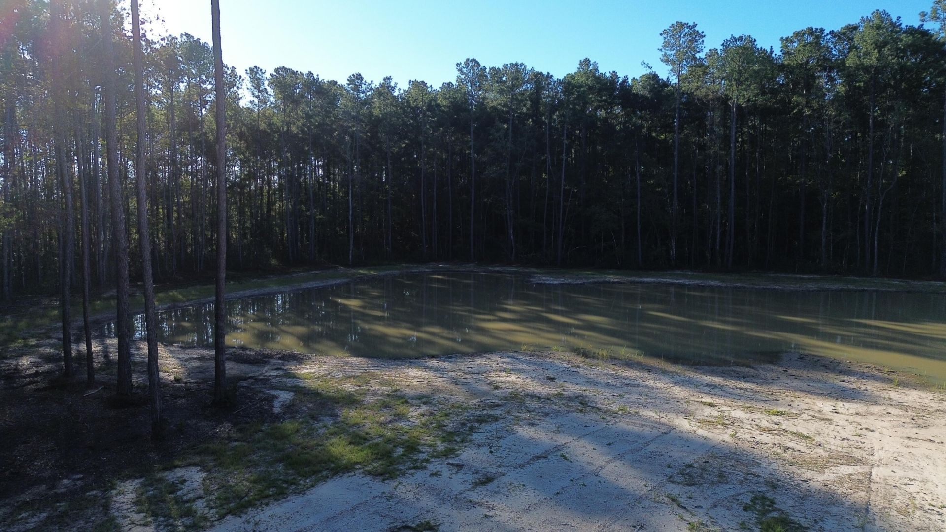 473 The Ranch Trail Photo 13