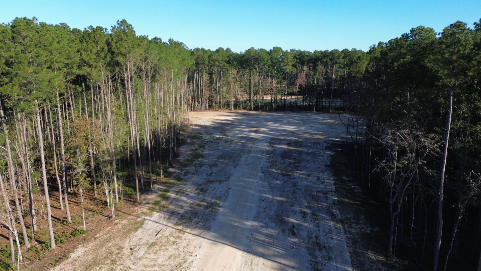 473 The Ranch Trail Photo 19