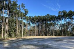 473 The Ranch Trail photo 4