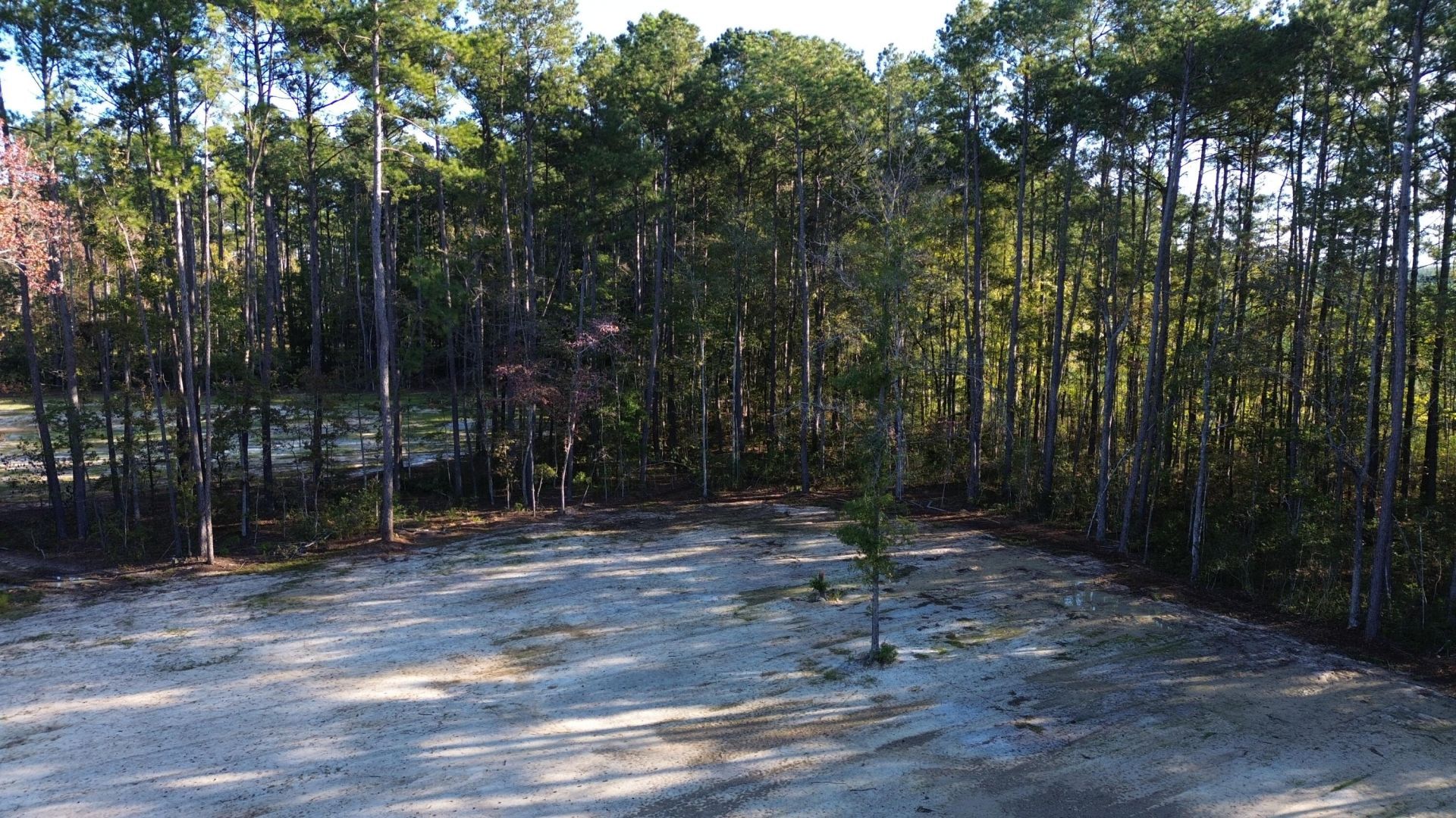 473 The Ranch Trail Photo 21