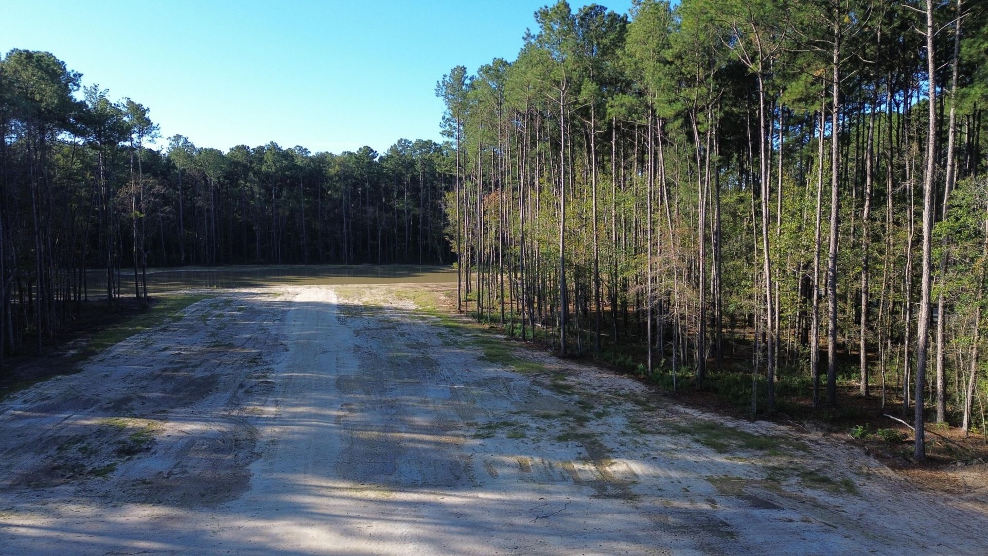 473 The Ranch Trail Photo 21