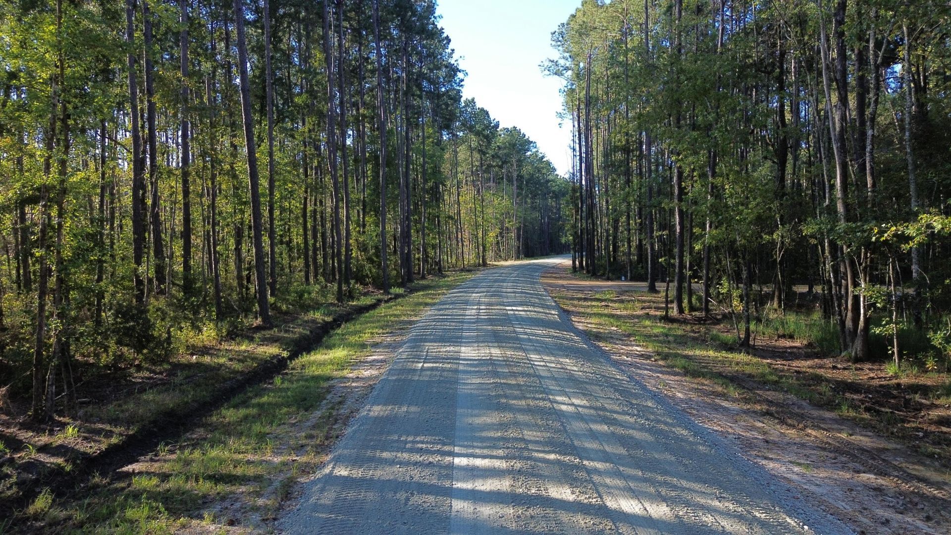 473 The Ranch Trail Photo 22