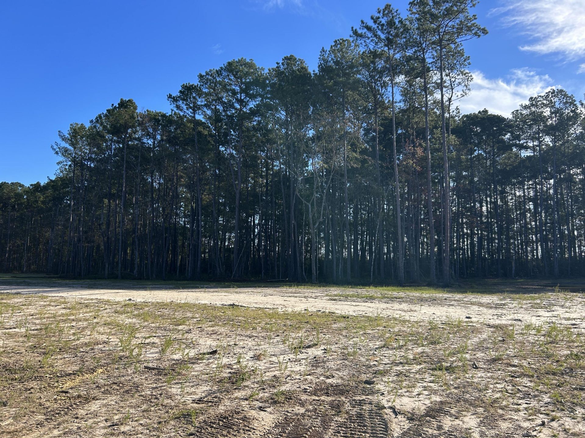 473 The Ranch Trail Photo 28