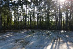 473 The Ranch Trail photo 4