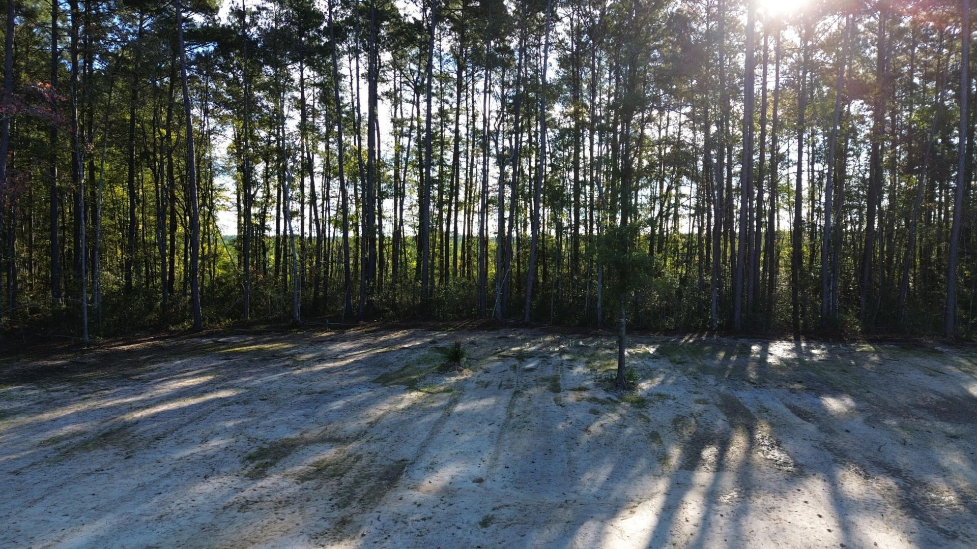 473 The Ranch Trail Photo 6