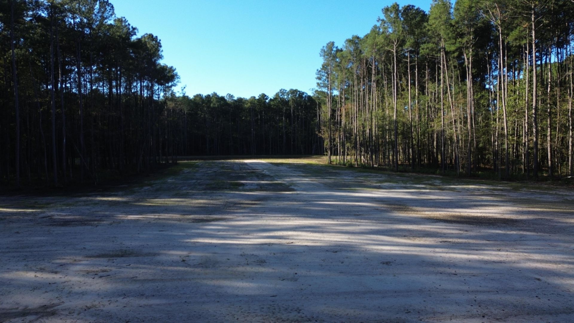 473 The Ranch Trail Photo 7