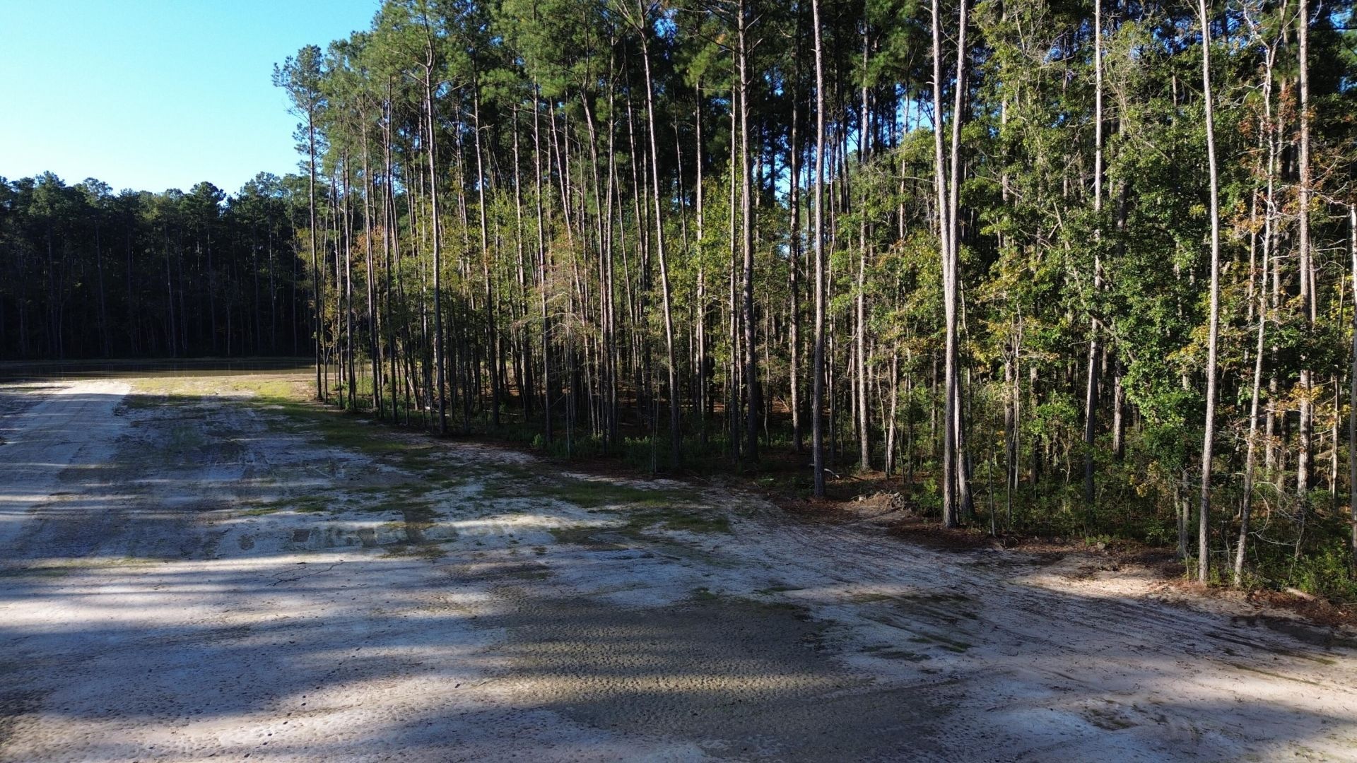 473 The Ranch Trail Photo 9