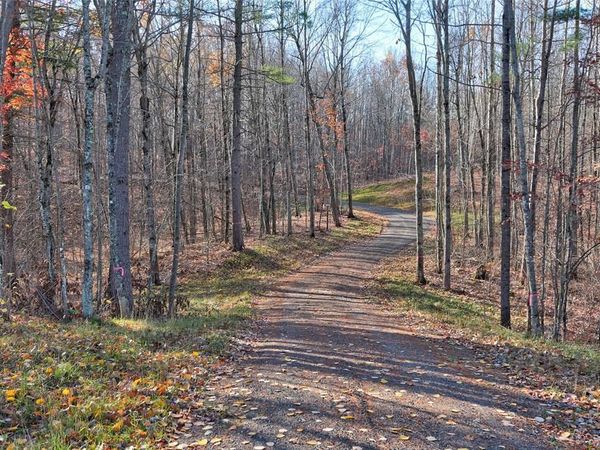 11369N Vasa Road, Hayward, WI 54843
