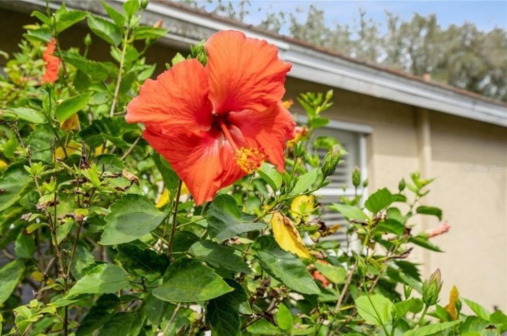 2291 Granby Drive , Lehigh Acres, FL 33973 Photo