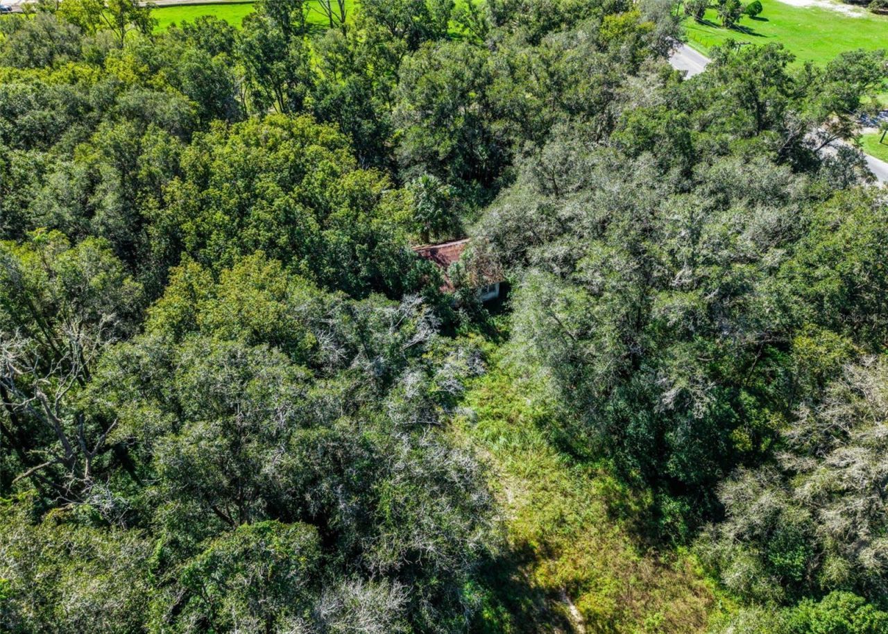 21520 County Road 44a , Eustis, FL 32736 Photo