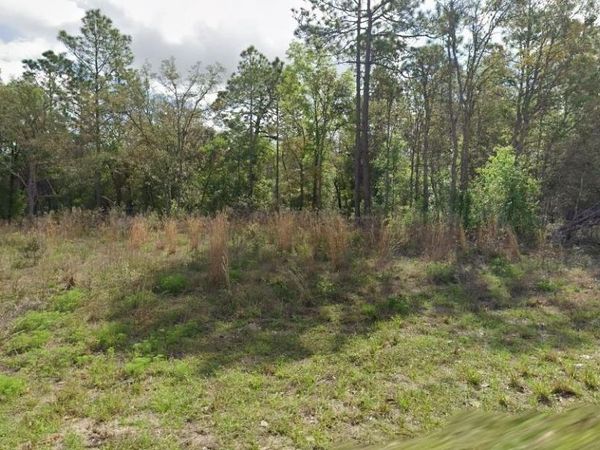 8445 N JANEAUX DRIVE , CITRUS SPRINGS, FL 34434