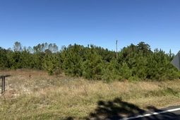 5.0 Acs Old Pee Dee Rd.  photo 4
