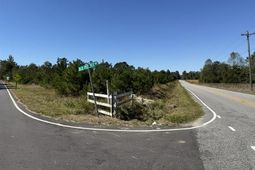 5.0 Acs Old Pee Dee Rd.  photo 4