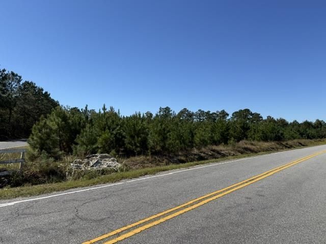 5.0 Acs Old Pee Dee Rd.  Photo 4