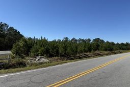 5.0 Acs Old Pee Dee Rd.  photo 4