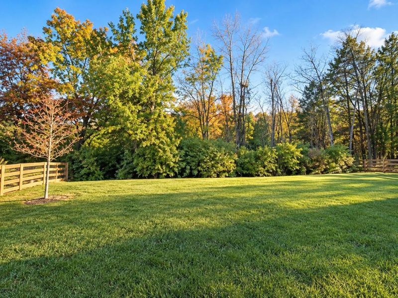 10039 Meadow Glen Drive, Independence, KY 41051 Photo 26
