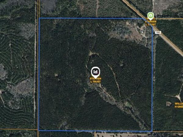 XXX N Highway 181, Unit 160 Acres , Westville, FL 32464