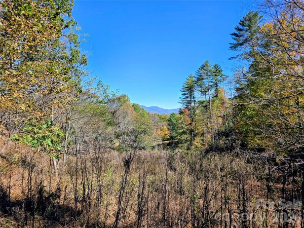 00 Big Brush Creek Road , Green Mountain, NC 28740