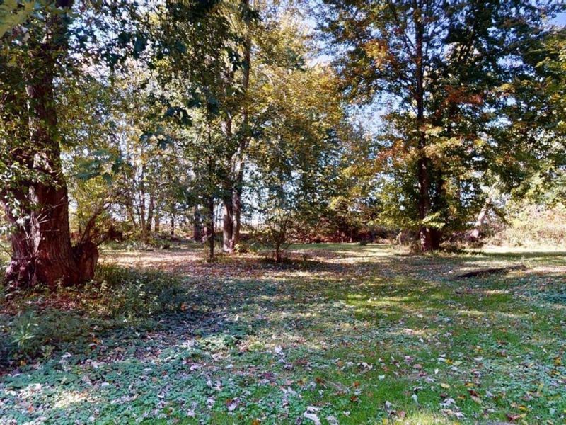 279 Gregory Road, Willard, OH 44890 Photo 29