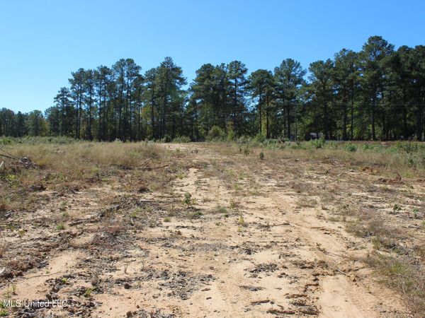 S Highway 51 Highway, Brookhaven, MS 39601
