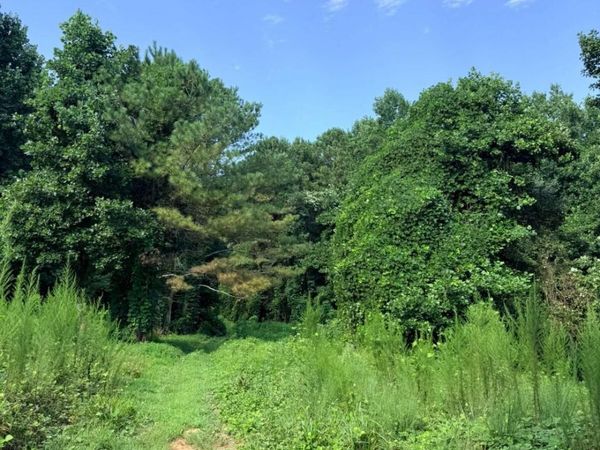 LOT 9 Henderson Mountain Road, Jasper, GA 30143