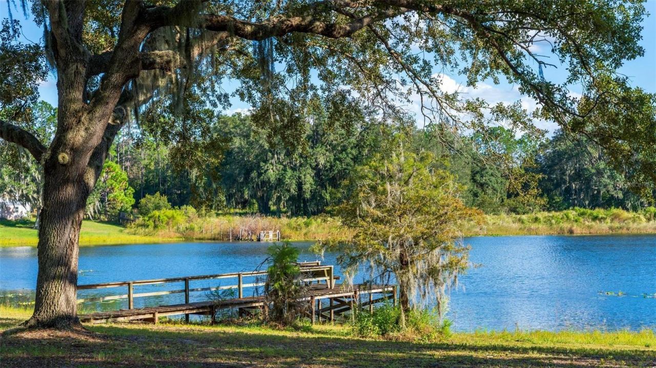 15330 Sky Lake Lane, Tavares, FL 32778 Photo