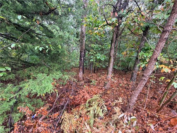 TBD Skye Drive , Bella Vista, AR 72715