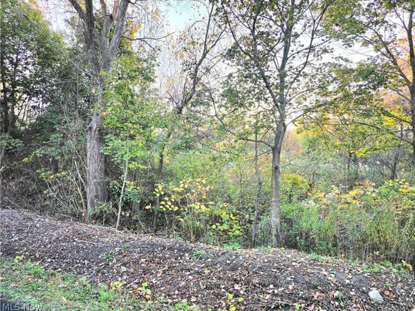 S Bender Avenue , Akron, OH 44319