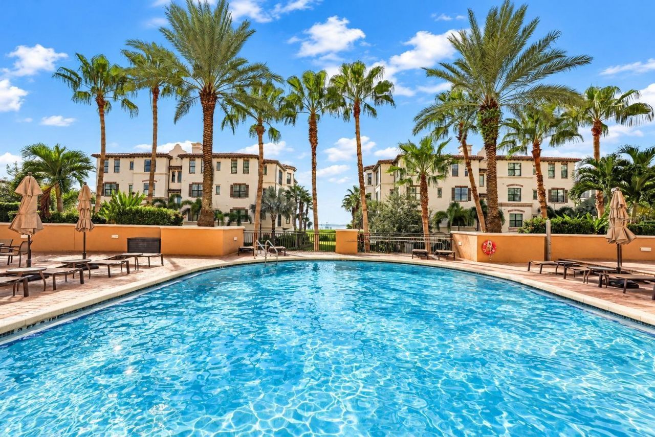 5823 Bowen Daniel Drive, Unit 704, Tampa, FL 33616 Photo