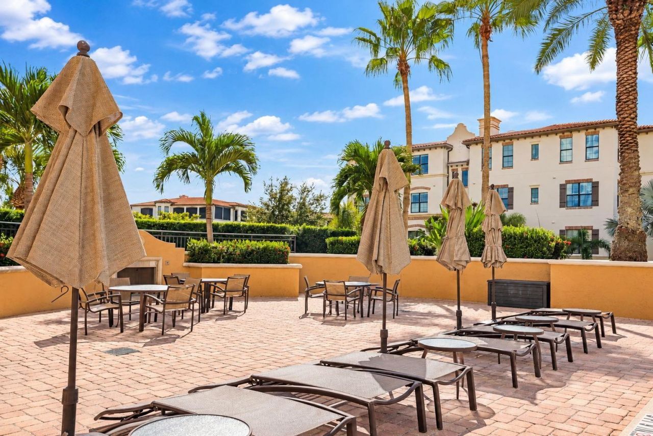 5823 Bowen Daniel Drive, Unit 704, Tampa, FL 33616 Photo