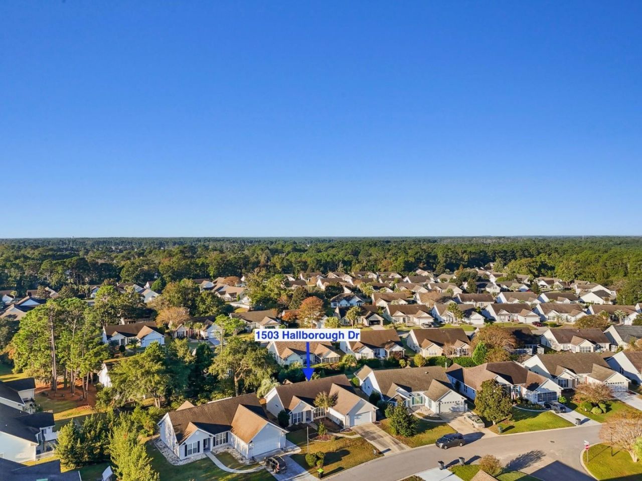 1503 Hallborough Dr. Photo 35