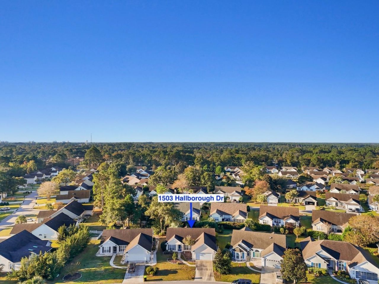 1503 Hallborough Dr. Photo 36