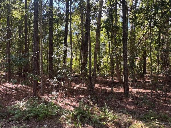 Tbd E Greene Street, Bay Saint Louis, MS 39520