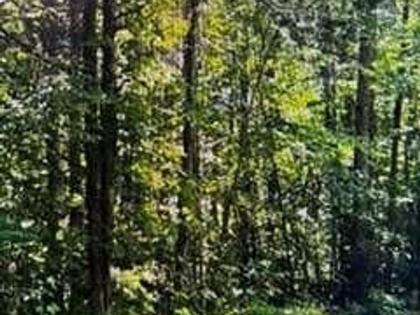 00 Ben Mosley Circle, Summerville, GA 30747