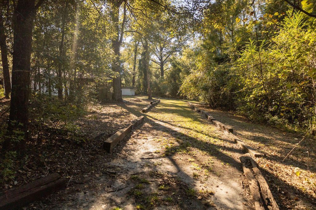 461 Smoak Road Photo 5