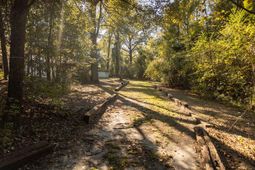 461 Smoak Road photo 4