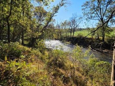 LOT 2 DOCS 14+ ACRES ROAD , RIXEYVILLE, VA 22737
