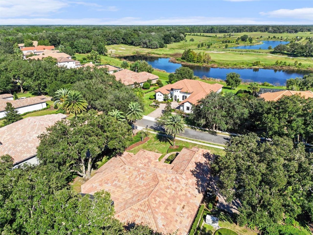 32519 Hawks Lake Lane, Sorrento, FL 32776 Photo