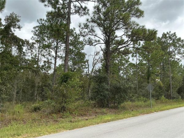 SW 85TH PLACE , OCALA, FL 34473
