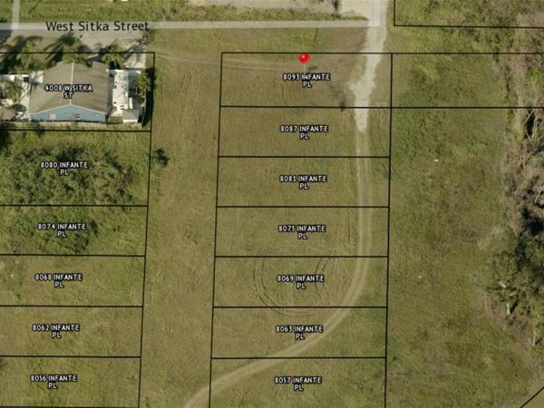 8093 INFANTE PLACE, TAMPA, FL 33614