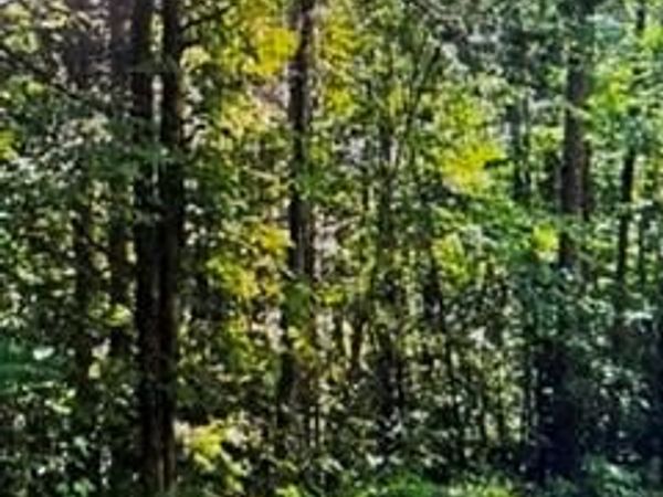 00 Ben Mosley Circle , Summerville, GA 30747