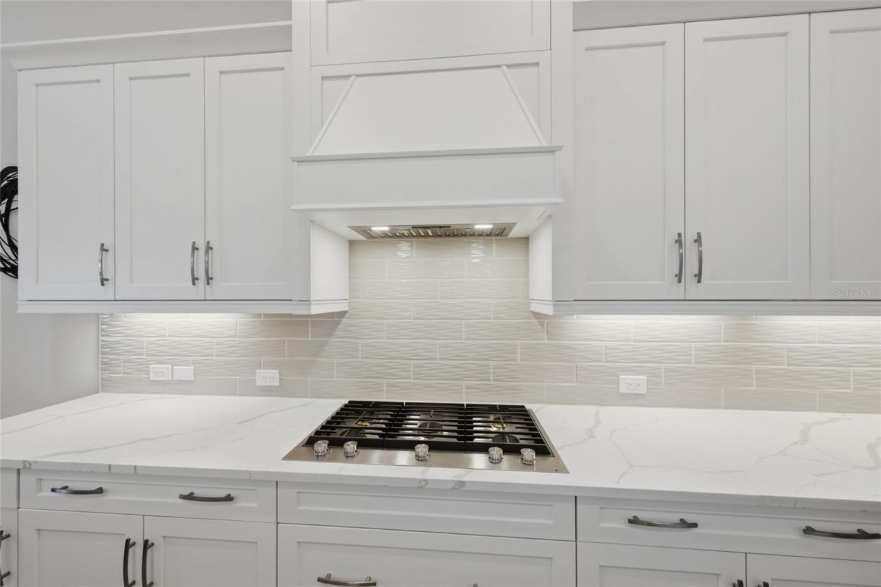 8281 Pavia Way, Lakewood Ranch, FL 34202 Photo