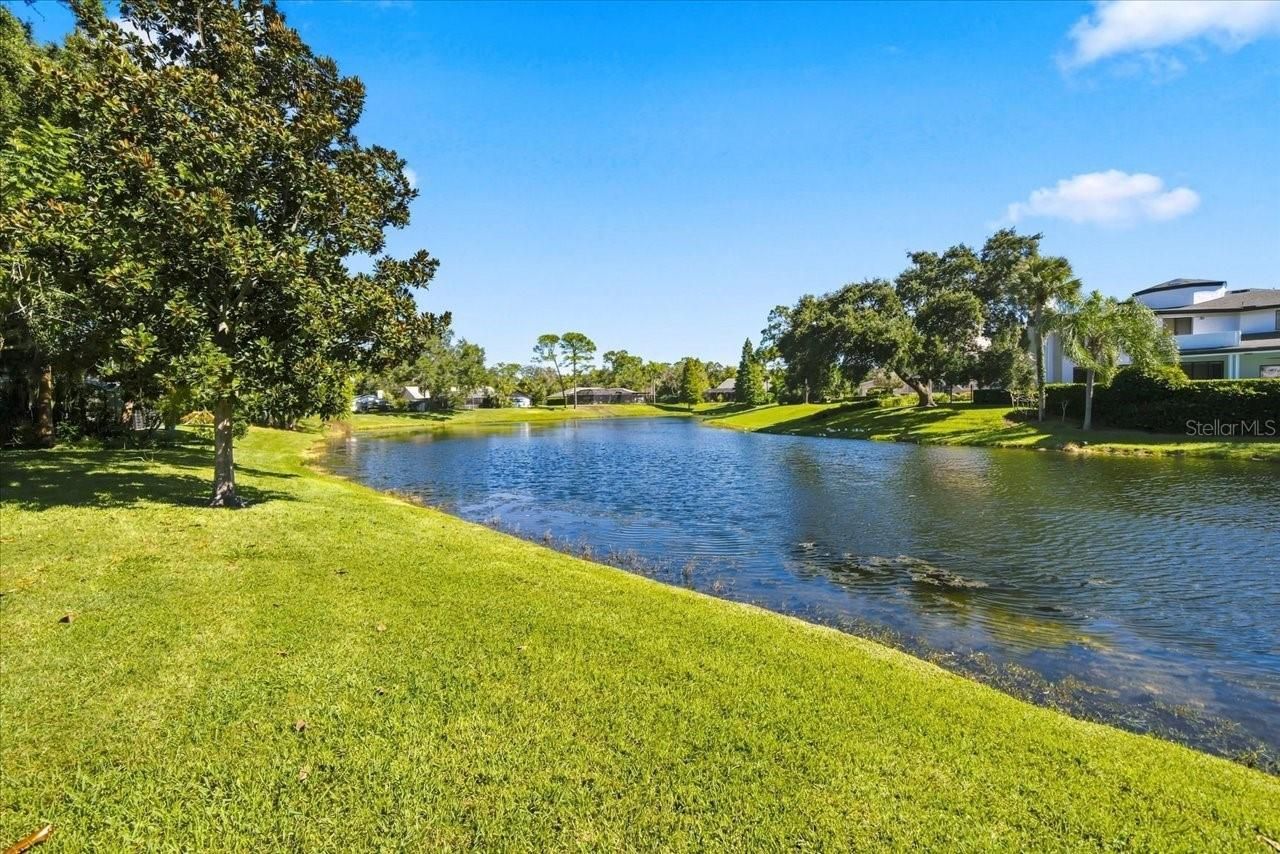 4110 Carrollwood Village Drive, Tampa, FL 33618 Photo