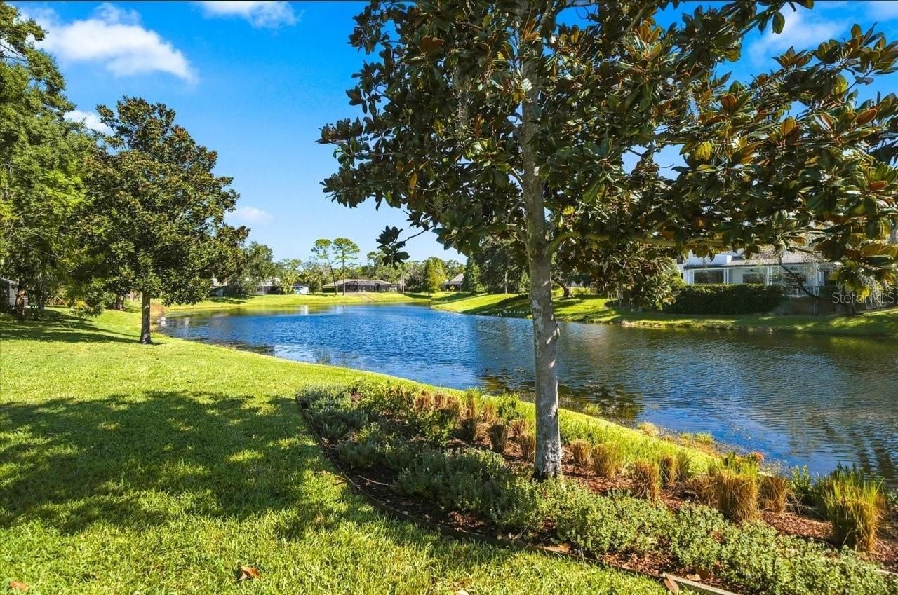 4110 Carrollwood Village Drive, Tampa, FL 33618 Photo