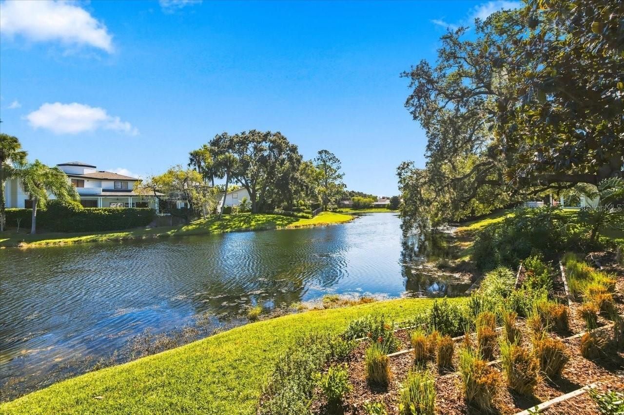 4110 Carrollwood Village Drive, Tampa, FL 33618 Photo