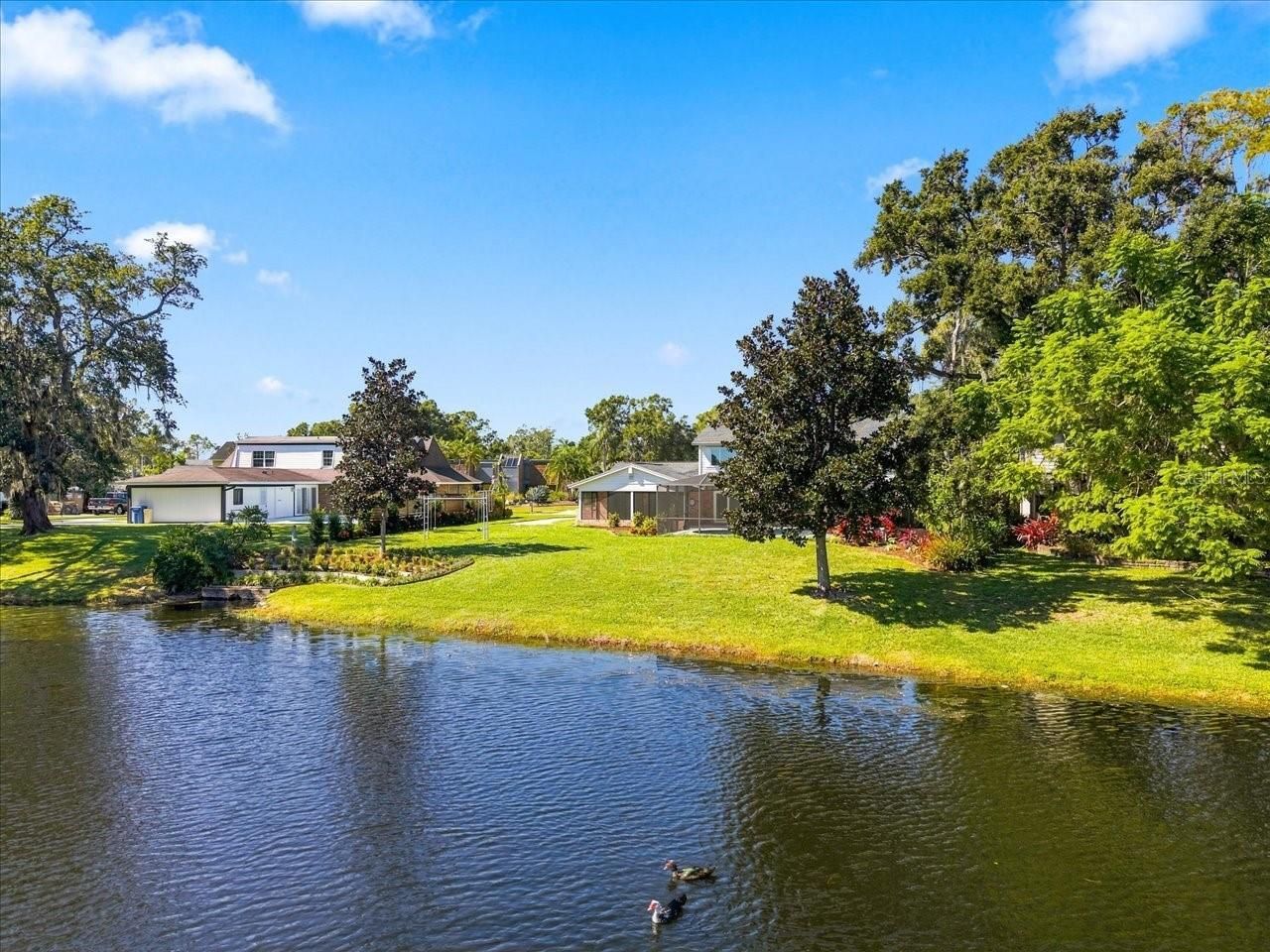 4110 Carrollwood Village Drive, Tampa, FL 33618 Photo