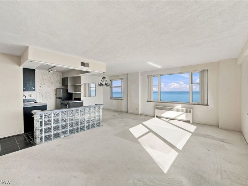 11850 Edgewater Drive, Unit 1012, Lakewood, OH 44107 Photo 3